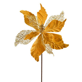 20" x 12" Gold Velvet and Mesh Poinsettia Sprays 6 Per Bag