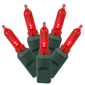 100-Count Red Italian LED Christmas Light Strand on 34' Green Wire