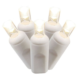 100-Count Warm White Wide-Angle LED Christmas Light Strand on 50' White Wire