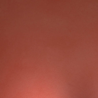 6" Coral Matte Ball Ornaments 4-Pack