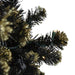 33388941 Holiday/Christmas/Christmas Trees