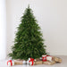 33663385 Holiday/Christmas/Christmas Trees