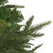 33663385 Holiday/Christmas/Christmas Trees