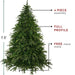 33663385 Holiday/Christmas/Christmas Trees