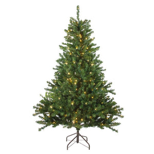 32913265 Holiday/Christmas/Christmas Trees
