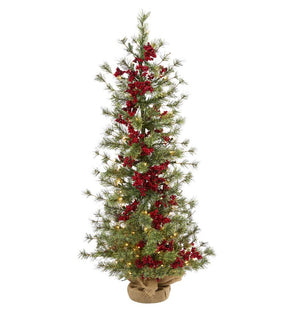 Product Image: T1427 Holiday/Christmas/Christmas Trees