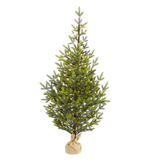 Product Image: T1865 Holiday/Christmas/Christmas Trees