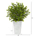 P1479 Decor/Faux Florals/Plants & Trees