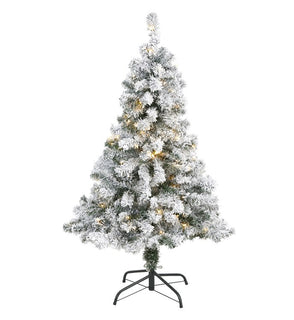 Product Image: T1750 Holiday/Christmas/Christmas Trees
