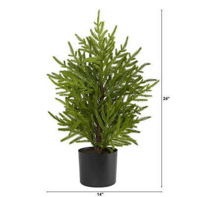 2' Norfolk Island Pine Natural Look Artificial Tree in Decorative Planter