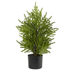 2' Norfolk Island Pine Natural Look Artificial Tree in Decorative Planter