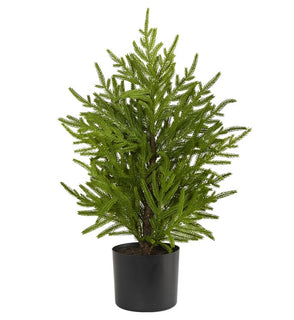 Product Image: T1502 Holiday/Christmas/Christmas Trees