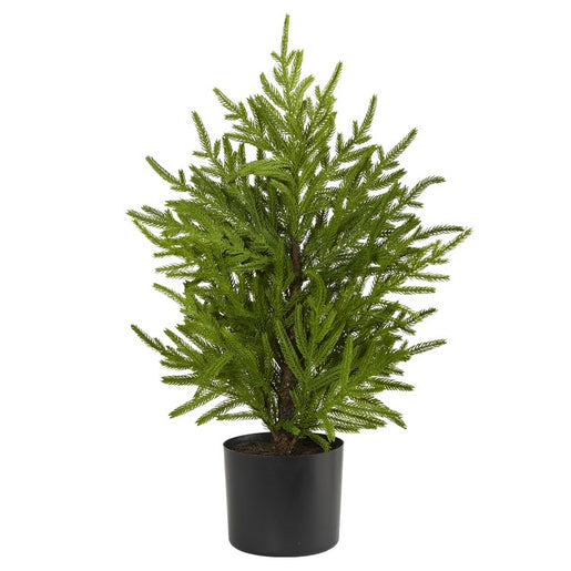2' Norfolk Island Pine Natural Look Artificial Tree in Decorative Planter