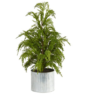 Product Image: T1506 Holiday/Christmas/Christmas Trees