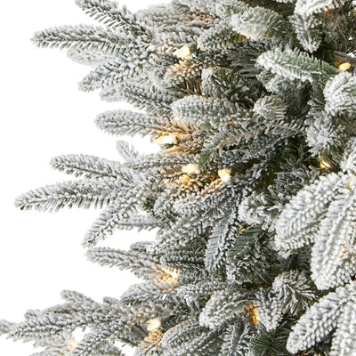 5.5' Flocked Manchester Spruce Artificial Christmas Tree with 200 Lights and 560 Bendable Branches