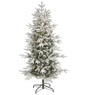 Product Image: T1975 Holiday/Christmas/Christmas Trees