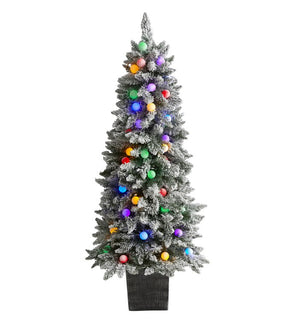 Product Image: T1449 Holiday/Christmas/Christmas Trees