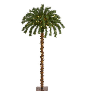 Product Image: T1450 Holiday/Christmas/Christmas Trees