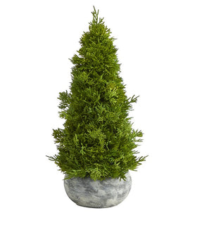 Product Image: T1513 Holiday/Christmas/Christmas Trees