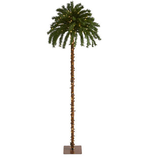 Product Image: T1453 Holiday/Christmas/Christmas Trees