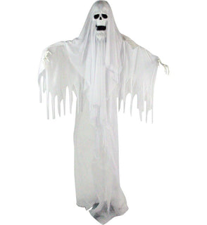 Product Image: HHGHST-2FLS Holiday/Halloween/Halloween Outdoor Decor