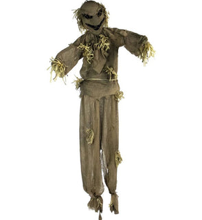 Product Image: HHPUMP-3FLS Holiday/Halloween/Halloween Outdoor Decor