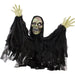 HHFJMAN-1LSA Holiday/Halloween/Halloween Outdoor Decor