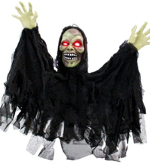 Product Image: HHFJMAN-1LSA Holiday/Halloween/Halloween Outdoor Decor