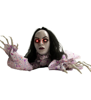 Product Image: HHGBLADY-1LSA Holiday/Halloween/Halloween Outdoor Decor