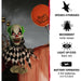 HHCLOWN-7FLSA Holiday/Halloween/Halloween Outdoor Decor