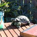 XCA-611 Outdoor/Lawn & Garden/Garden Decor