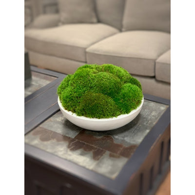 18" Artificial Moss in Round White Container