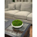 CDTR1402 Decor/Faux Florals/Plants & Trees