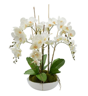 Product Image: CDFL4468 Decor/Faux Florals/Floral Arrangements