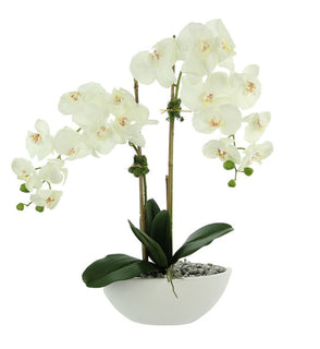 Product Image: CDFL6470 Decor/Faux Florals/Floral Arrangements