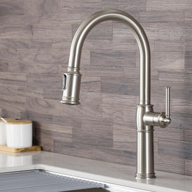 Sellette Traditional Single Handle Pull Down Kitchen Faucet and Deck Plate