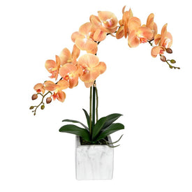 Vickerman 22" Artificial Potted Real Touch Coral Phalaenopsis Spray.