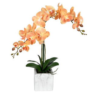 Product Image: FN190402 Decor/Faux Florals/Floral Arrangements