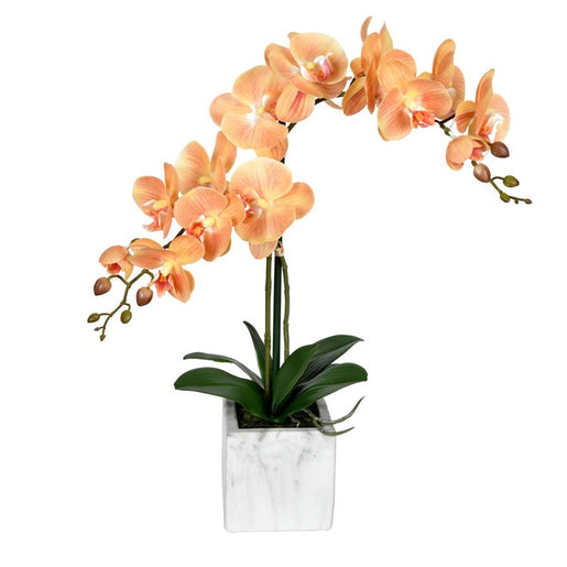 Vickerman 22" Artificial Potted Real Touch Coral Phalaenopsis Spray.