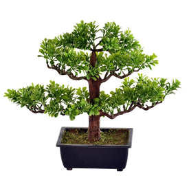 10" Artificial Potted Murraya Bonsai Tree