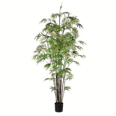 TB190180 Decor/Faux Florals/Plants & Trees