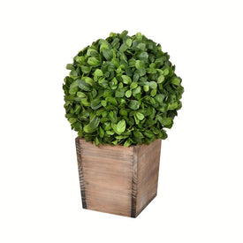 16" Artificial Potted Boxwood Ball in Wooden Pot