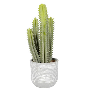 Product Image: FH181301 Decor/Faux Florals/Plants & Trees