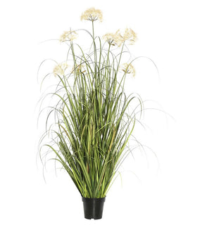 Product Image: TN170936 Decor/Faux Florals/Plants & Trees