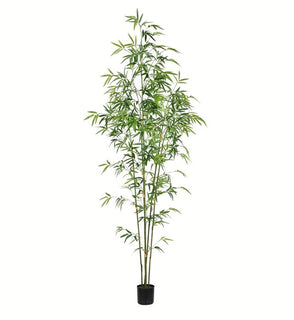Product Image: TB190460 Decor/Faux Florals/Plants & Trees