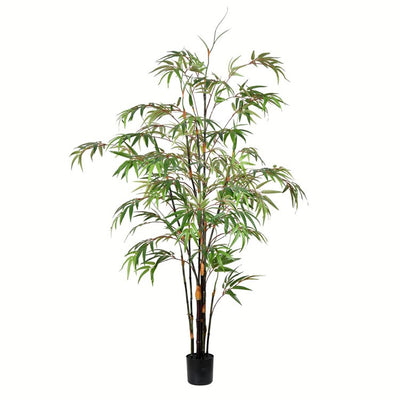 TB190150 Decor/Faux Florals/Plants & Trees