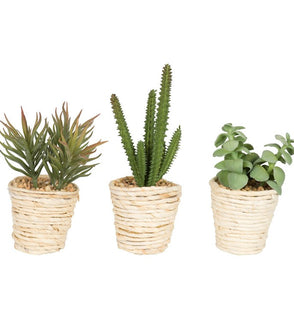 Product Image: FO197501 Decor/Faux Florals/Plants & Trees