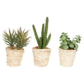 5" Artificial Potted Succulent Cactus Plants