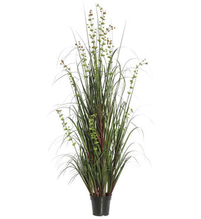 Product Image: TN170224 Decor/Faux Florals/Plants & Trees