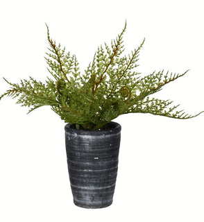 Product Image: FV196808 Decor/Faux Florals/Plants & Trees